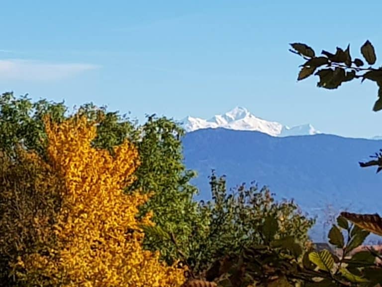 20171005_154747 (1)